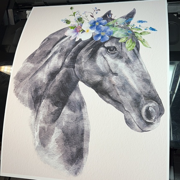 Wall Art Horse Portrait Print Poster Unframed - Picture 10 of 12